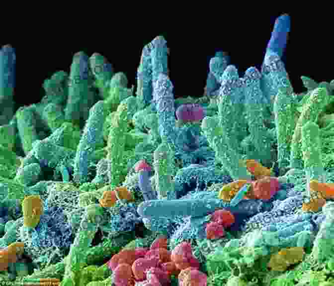 A Close Up Image Of Microbes Under A Microscope Microbes: The Life Changing Story Of Germs