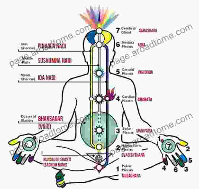 A Diagram Of The Seven Chakras And The Kundalini Energy Rising Up The Spine The Hidden Power In Humans Chakras And Kundalini