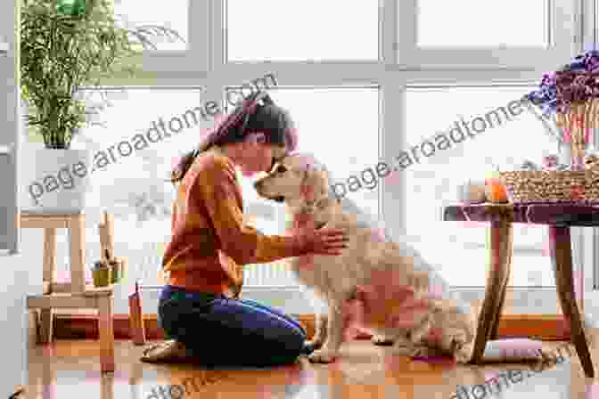 A Dog Looking Up At Its Owner With An Affectionate Expression The Way Of The Dog: Training By Instinct