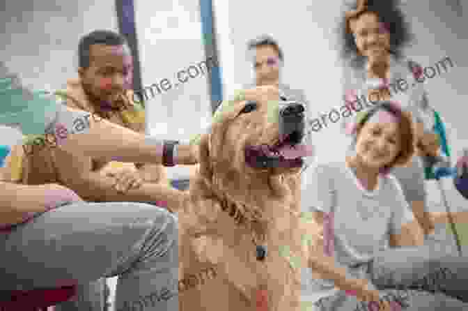 A Group Of Happy Dog Owners Interacting With Their Well Trained Dogs The Way Of The Dog: Training By Instinct