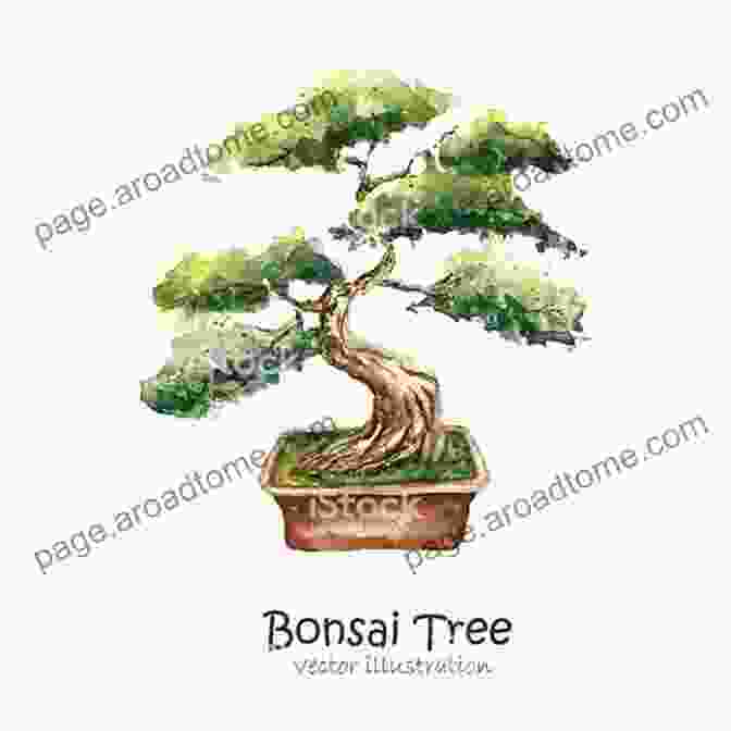 A Group Of People Gathered Around A Bonsai Tree, Drawing Inspiration From Its Journey. Peace Tree From Hiroshima: A Little Bonsai With A Big Story