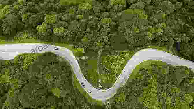 A Panoramic Aerial Photograph Of A Winding Road Snaking Through Lush Forests And Rolling Hills, Surrounded By Majestic Mountains. How To Read A North Carolina Beach: Bubble Holes Barking Sands And Rippled Runnels (Southern Gateways Guides)