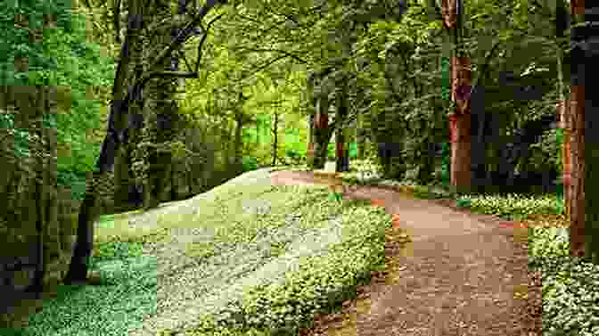 A Path Lined With Blooming Flowers Leading Into A Tranquil Forest, Symbolizing The Journey Towards Dream Fulfillment My Own Strength: My Dreams Were Always My Reality