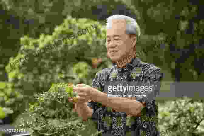 A Person Tending To A Bonsai Tree, Reflecting The Bond Between Humans And Nature. Peace Tree From Hiroshima: A Little Bonsai With A Big Story