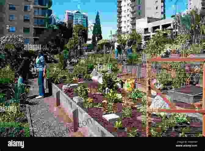 A Photograph Of A Vibrant Community Garden, Showing People Of All Ages And Backgrounds Working Together To Create A Sustainable Space. Transition Strategies For Sustainable Community Systems: Design And Systems Perspectives (The Anthropocene: Politik Economics Society Science 26)