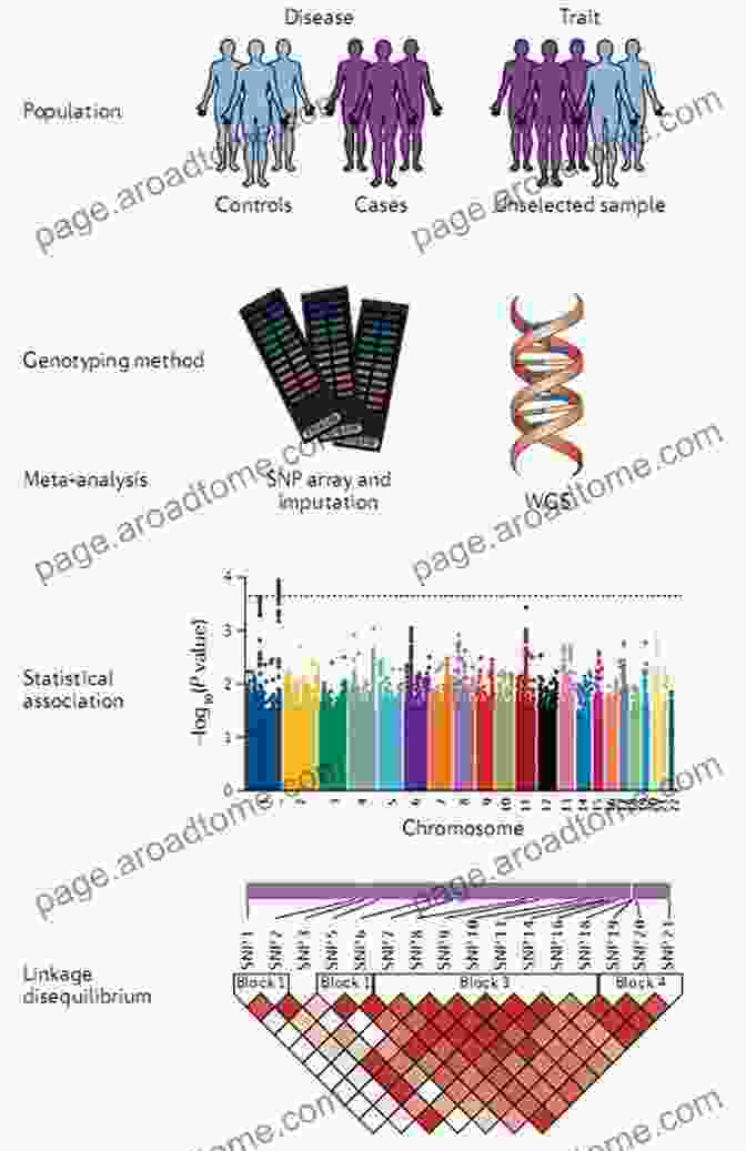 Book Cover: Analysis Of Genetic Association Studies: Statistics For Biology And Health Analysis Of Genetic Association Studies (Statistics For Biology And Health)