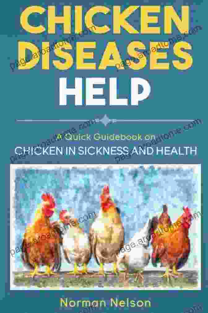 Chicken Diseases Help: Quick Guidebook On Chicken In Sickness And Health Chicken Diseases Help A Quick Guidebook On Chicken In Sickness And Health