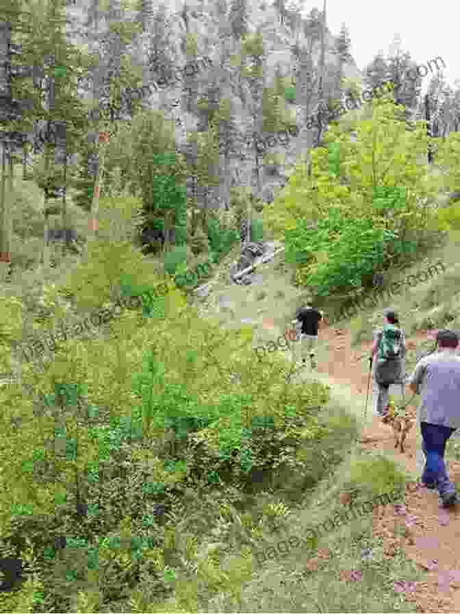 Hikers Setting Up Camp At Pine Flat Campground After A Day Of Hiking Day Overnight Hikes: Tonto National Forest