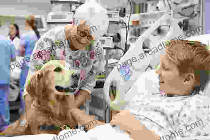 Historical Image Of A Dog Interacting With A Patient In A Hospital Setting. ANIMAL ASSISTED ACTIVITIES AND ANIMAL ASSISTED THERAPY: FACTS AND MYTHS