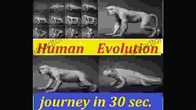 Human Evolutionary Journey Gaining Control: How Human Behavior Evolved