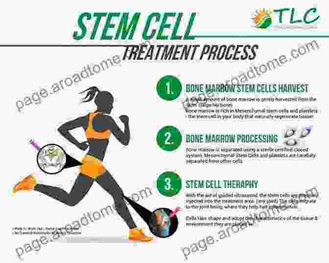 Image Of A Stem Cell Being Injected During Cell Therapy To Stem Cell Science