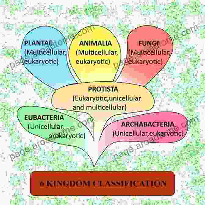 Intricate Map Of The Various Kingdoms And Their Geographical Relationships More Kingdoms To Conquer: Dangerous Decrees Prayers That Bring You Into The Fullness Of Your Destiny (Reaching New Spiritual Heights)