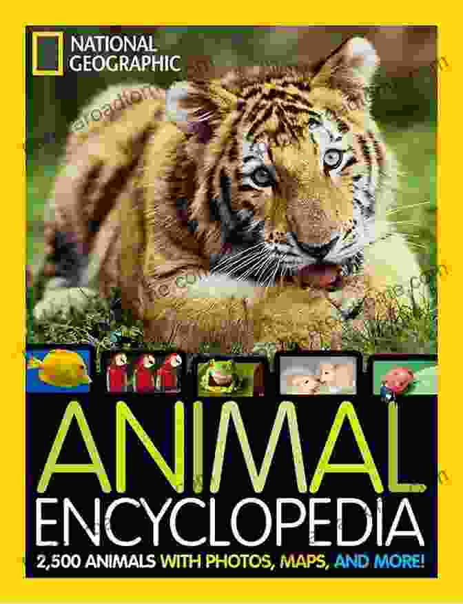 It's Me, Bear: Animal Encyclopedia Book Cover Bear : Its Me Bear ( Animal Encyclopedia) (It S Me Series)