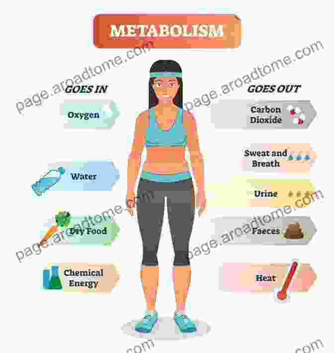 List Of Simple Lifestyle Changes To Boost Metabolism Turn Up The Heat: Unlock The Fat Burning Power Of Your Metabolism