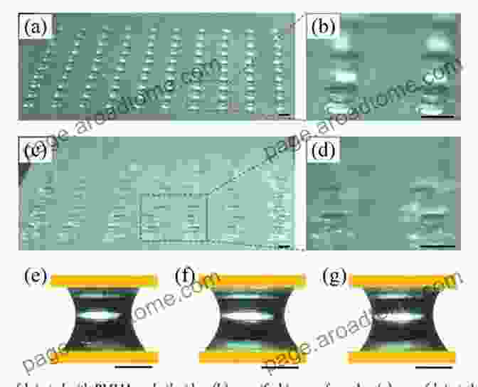 Lithography For Microscale Hydrogel Fabrication Biofabrication: Chapter 4 Fabrication Of Microscale Hydrogels For Tissue Engineering Applications (Micro And Nano Technologies)