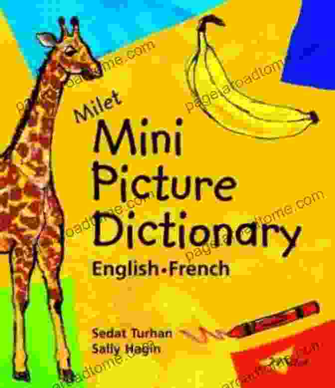 Milet Mini Picture Dictionary English French French Edition Milet Mini Picture Dictionary (English French) (French Edition)