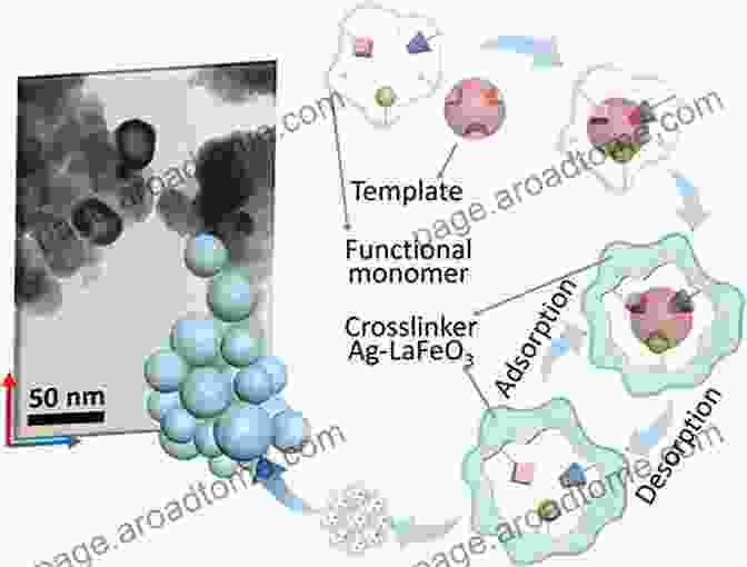 Molecular Imprinting Process Diagram Molecularly Imprinted Materials: Science And Technology