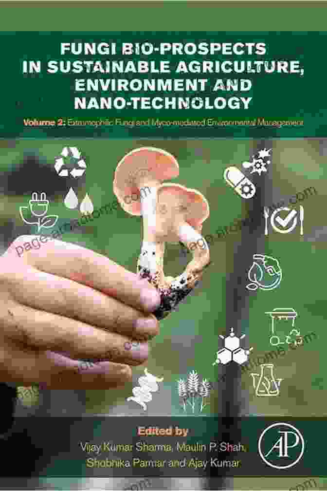 Mushrooms Growing On Contaminated Soil, Illustrating The Role Of Fungi In Environmental Remediation. Organic Mushroom Farming And Mycoremediation: Simple To Advanced And Experimental Techniques For Indoor And Outdoor Cultivation