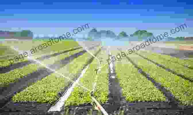 Photo Of A Farmer Using Drip Irrigation In His Field Clean And Sustainable Groundwater In India (Springer Hydrogeology)