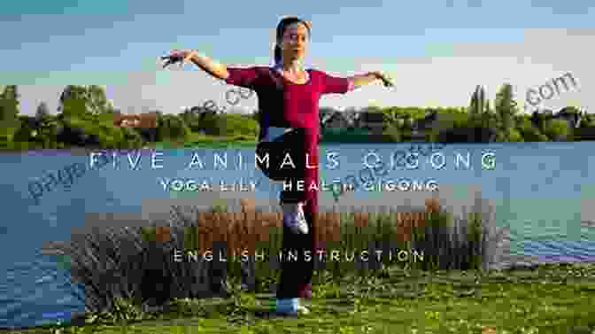 Qi Gong Five Animal Play Illustration Qi Gong For Fitness: Five Animal Play