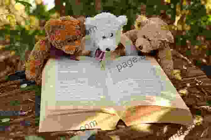 Teddy Bear Reading A Book In A Library The Teddy Bear Chronicles (Hong Kong Literature)