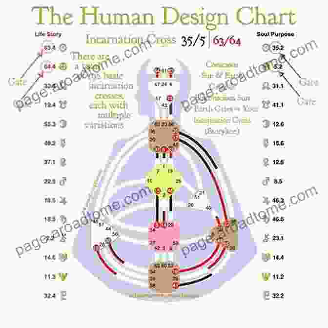 User Guide To Human Incarnation User S Guide To Human Incarnation: The Yoga Of Primal Reality