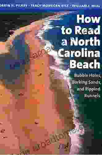 How To Read A North Carolina Beach: Bubble Holes Barking Sands And Rippled Runnels (Southern Gateways Guides)