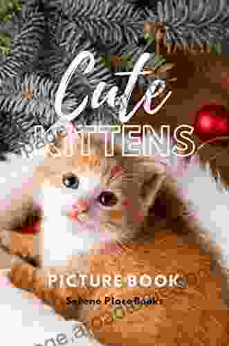 Cute Kittens Picture Book: A Gift For Alzheimer S Patients And Seniors With Dementia (Picture And Dementia Activities For Seniors 3)