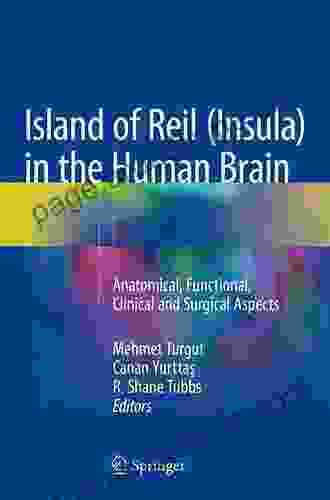 Island Of Reil (Insula) In The Human Brain: Anatomical Functional Clinical And Surgical Aspects