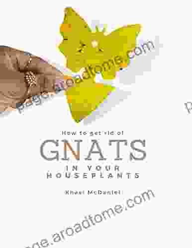 11 Ways To Get Rid Of Gnats In Your Houseplants: Sure Ways To Prevent Fungus Gnats And Track Your Progress Along Your Plant Parent Journey