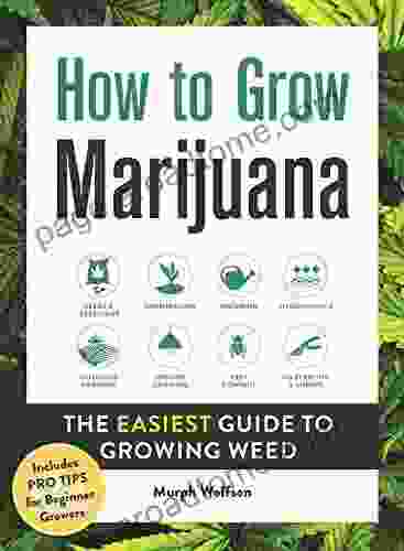 How to Grow Marijuana: The Easiest Guide to Growing Weed