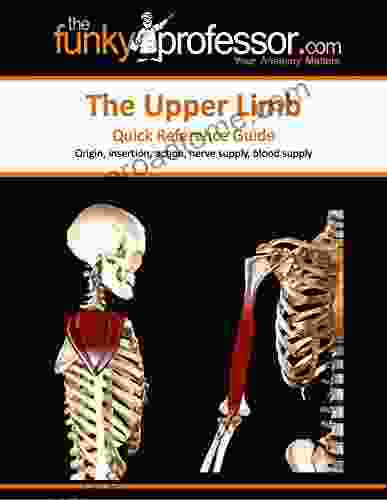 The Funky Professor: The Upper Limb