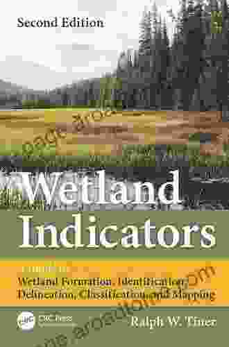 Wetland Indicators: A Guide To Wetland Formation Identification Delineation Classification And Mapping Second Edition