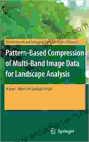 Pattern Based Compression Of Multi Band Image Data For Landscape Analysis (Environmental And Ecological Statistics 2)