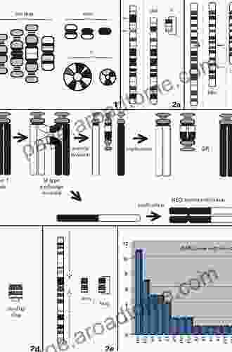 Small Supernumerary Marker Chromosomes (sSMC): A Guide For Human Geneticists And Clinicians