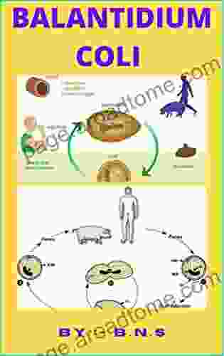 Balantidium coli: Disease Patrick J Fox