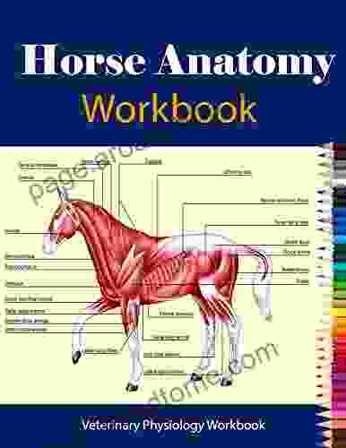 Horse Anatomy Workbook For Equine Vet Anatomy Students: Veterinary Physiology Workbook Incredibly Detailed Self Test Equine Anatomy Magnificent Learning Structure For Students